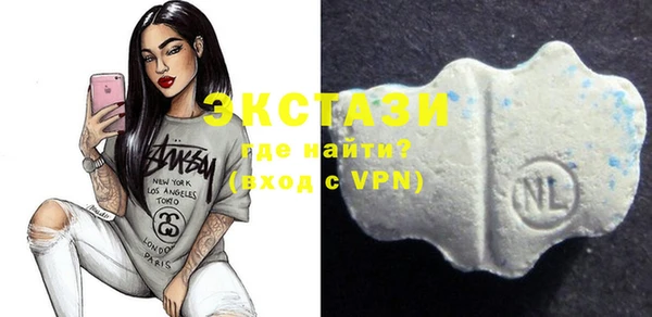 молекула духа Бородино
