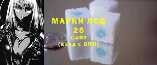 молекула духа Бородино