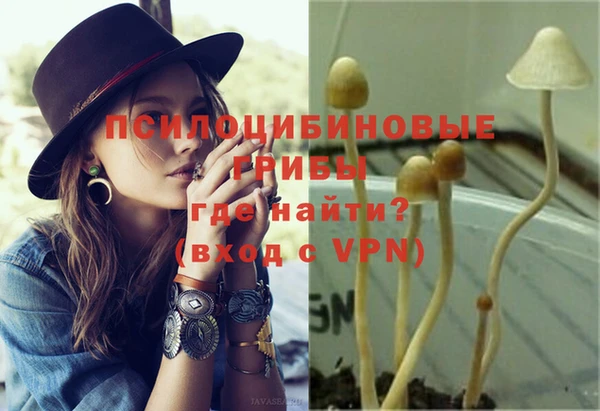 молекула духа Бородино