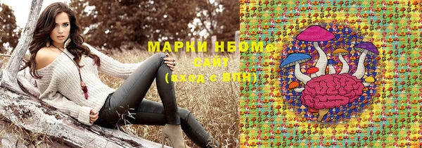 молекула духа Бородино