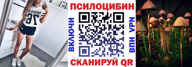 Галлюциногенные грибы Psilocybine cubensis  где продают   Долинск 
